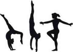 Undefeated Clarkstown Gymnastics Team Sending 9 To Division Championship